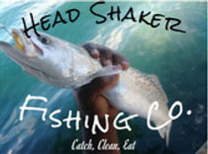 Headshaker2_edited.jpg