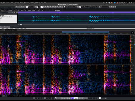 Steinberg Release Spectralayers 12
