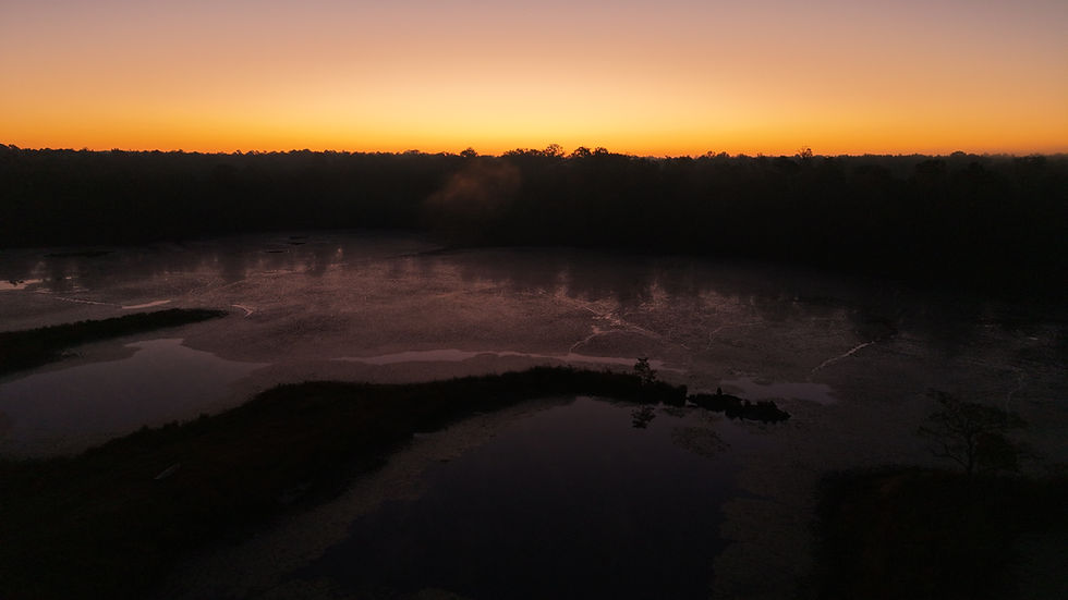 DJI_20251101193923_0138_D.JPG