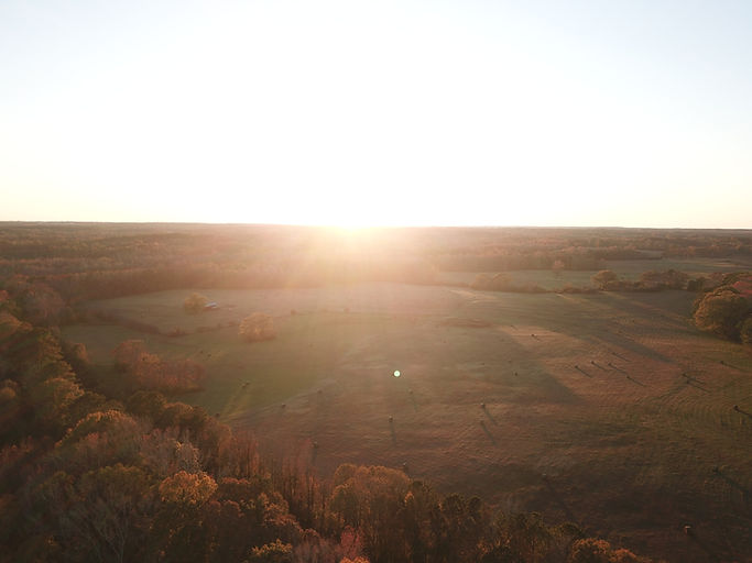 DJI_0037.JPG