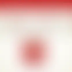 قنية بومودورو: سر التركيز والمراجعة الذكية