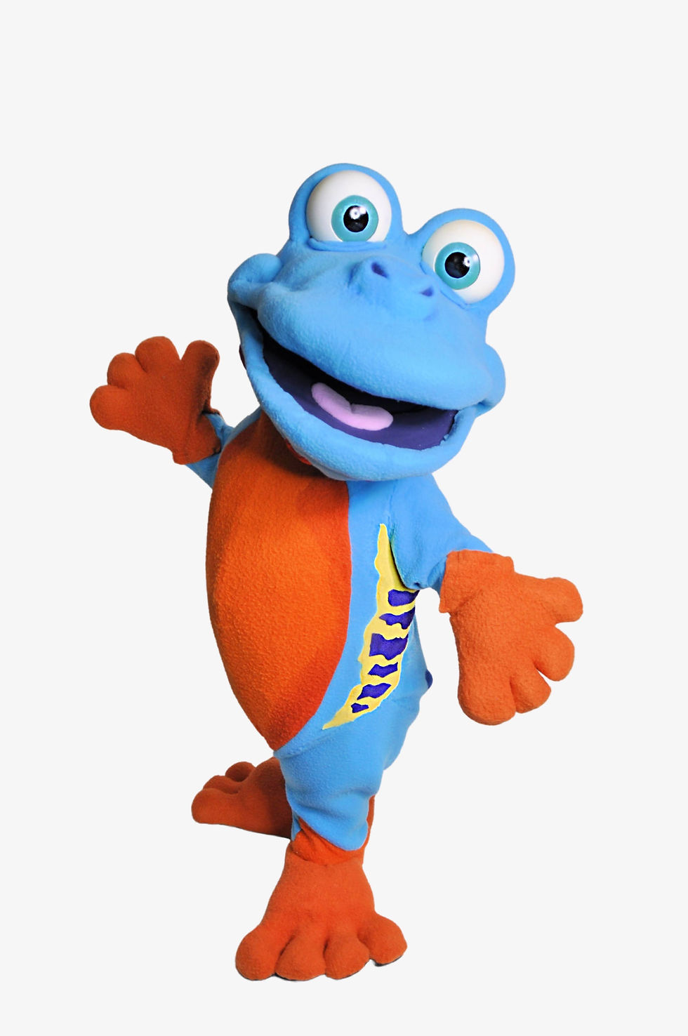 Activity Workbook Boss Frog