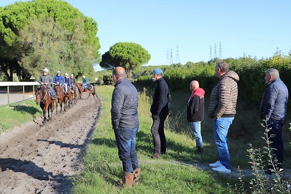 PHOTO_Remplacement les chevaux à l'entraînement