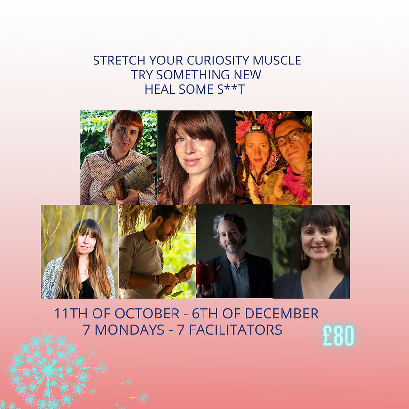 ⭐ THE MONDAY CLUB - ONLINE ⭐ ALL SEVEN SESSIONS