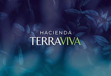 Avances de Obra Hacenda Terraviva