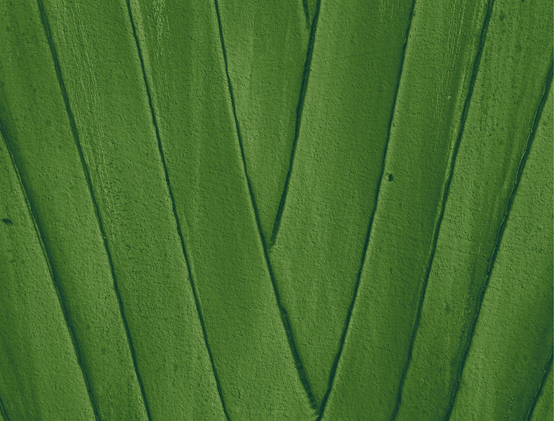 GRAN HACIENDA TERRAVIVA BROCHURE.pdf.png