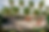 Render 7