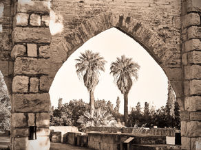 Τα μυστικά του οινοποιείου: Ιστορίες από τον 19ο αιώνα