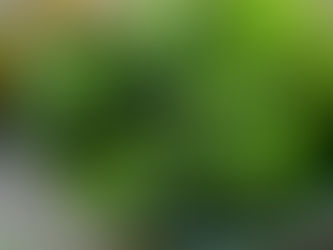 BROCCOLINI, IN MANY WAYS