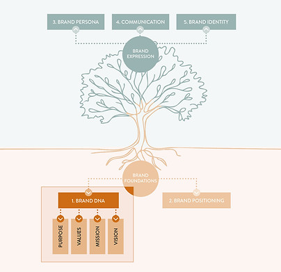 A tree image to form an analogy of strategic branding. Stage 1 is Brand DNA
