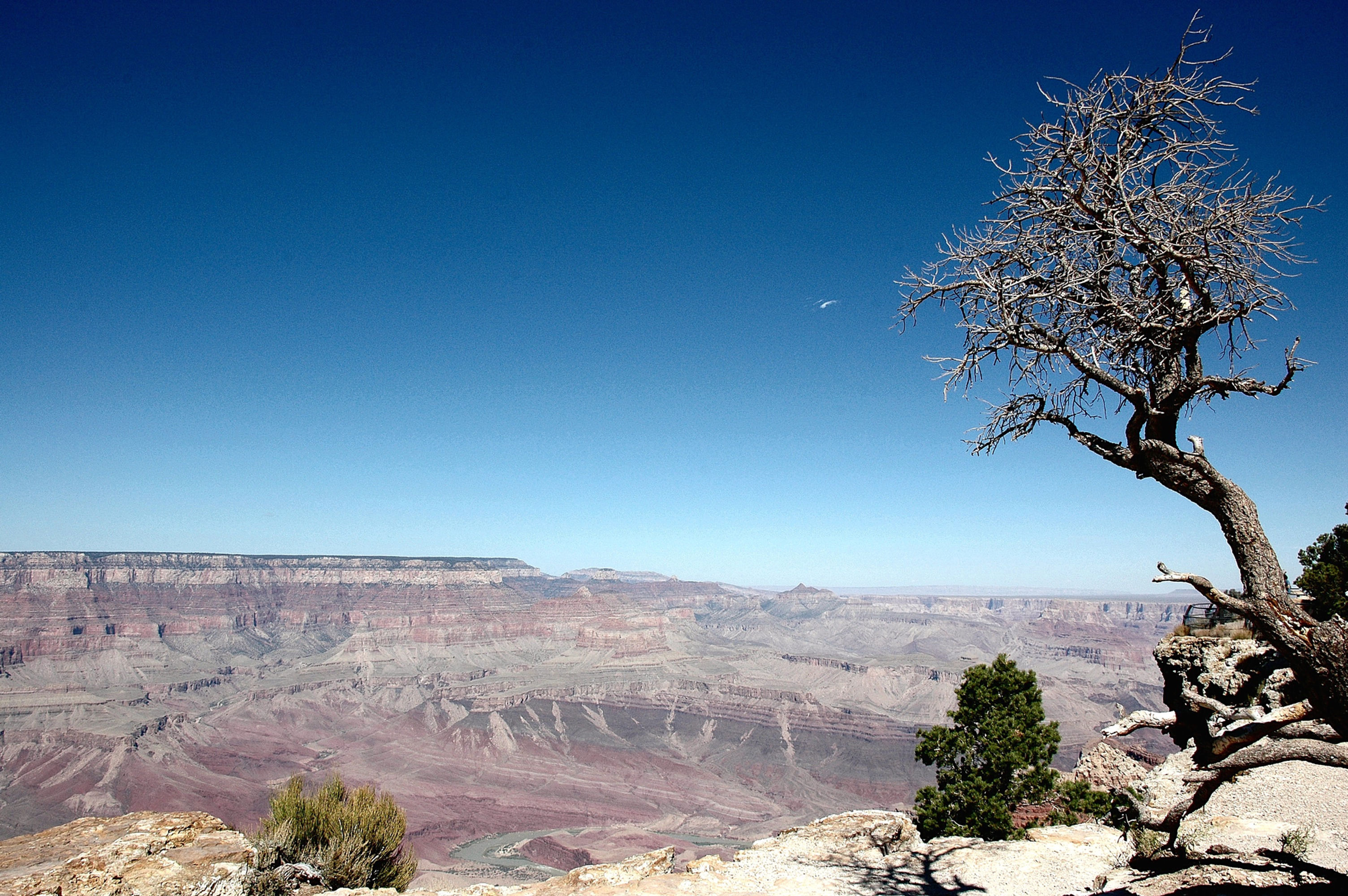 Grand Canyon Usa North Rim