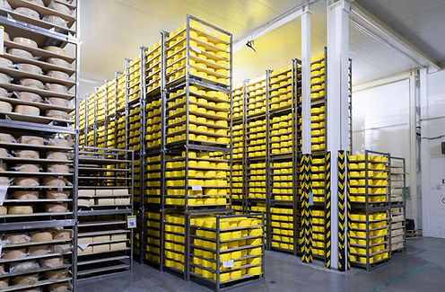 photo-cheese-factory-switzerland-typical-italian-cheese-parmigiano-reggiano-thousands-form