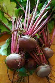 Bunch of Beetroot - Locally Grown