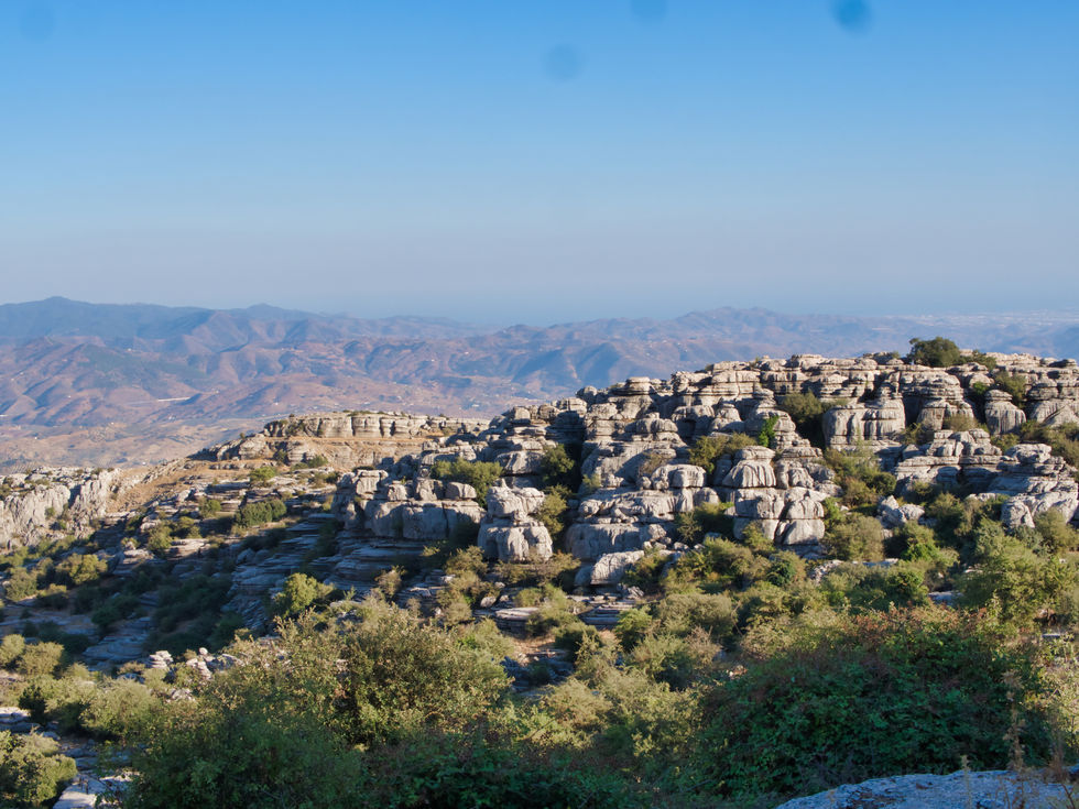 P1024591