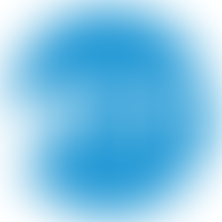 What is a Missions Mobilizer?
