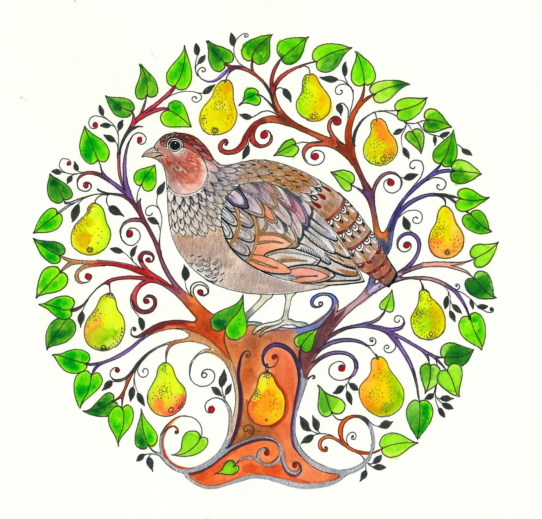 Partridge in a Pear Tree #2