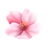 h.png