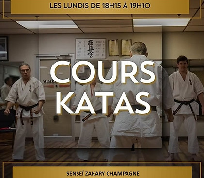 Cours katas.jpg