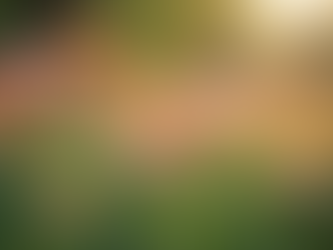 Experiências Reais sobre Menopausa e Saúde Feminina