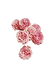 pngbarn (15).png