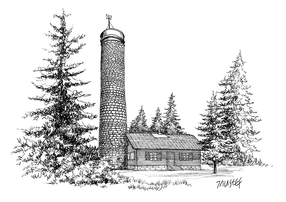 Old house illustration