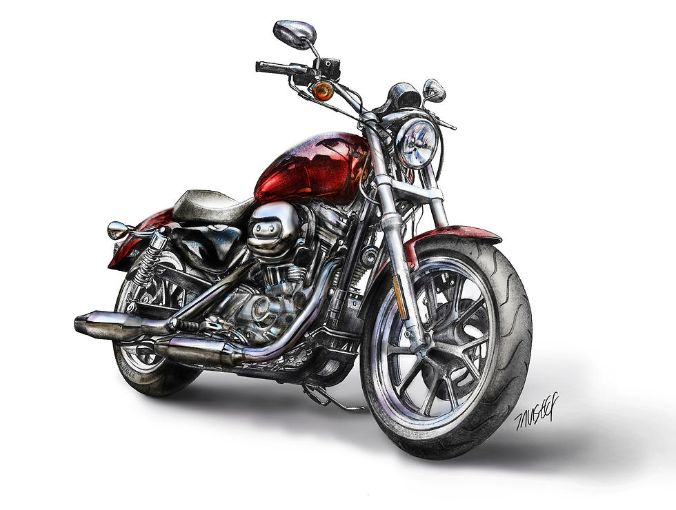 harley superlow.jpg