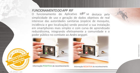 combate a dengue, combate ao mosquito Aedes aegypti