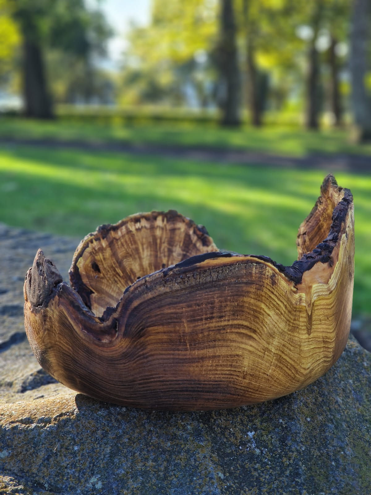 Laburnum Natural Edge Bowl