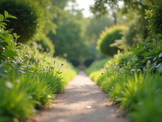 Discover My Path to Wholeness: Embracing Holistic Personal Growth