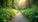 Discover My Approach to Holistic Wellness Insights