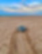 img_1746.jpeg