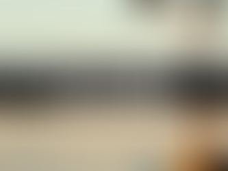 REFUSE TO GIVE UP ON THE DREAM