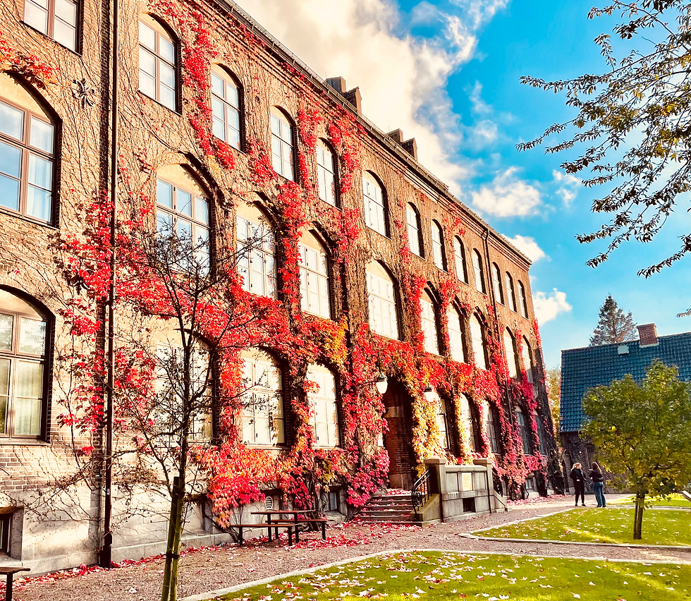 Lund University Department of Human Geography in fall covered in red ivy with mostly clear skys