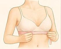Line drawing showing how to wrap a measuring tape flat around the underbust ribcage for bra band size.