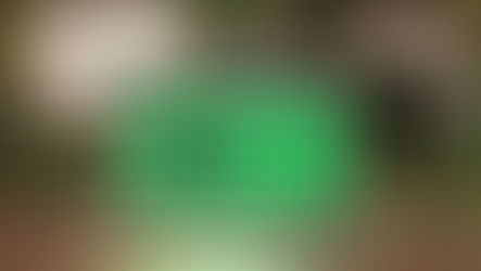 ¿Cómo actualizar su logotipo?