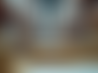 Streamlining Ecommerce Shipping: Neelam Express Logistics Solutions