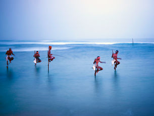 The Ultimate Guide to the Best Time for a Memorable Visit to Sri Lanka