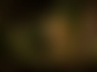 Customized Travel Itineraries for Sri Lanka