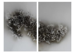 Das Kunstwerk aus der Serie Herzknochen, ein Bild in Airbrush-Technik, das die Tiefe und Schönheit des Inneren repräsentiert.jpg