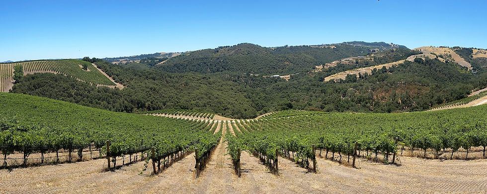Thumbnail: 2022 Paso Robles Grenache, 750ml
