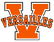 VER (1).png