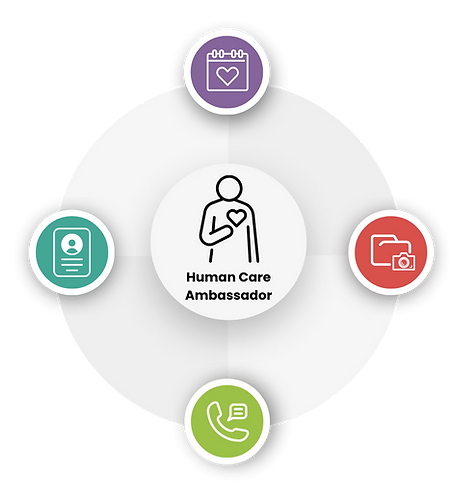 virtual care navigation cycle.png