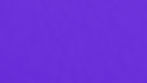 Purple BG.jpg