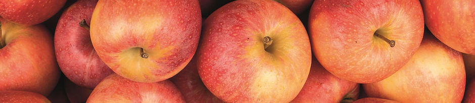 Pommes.jpg