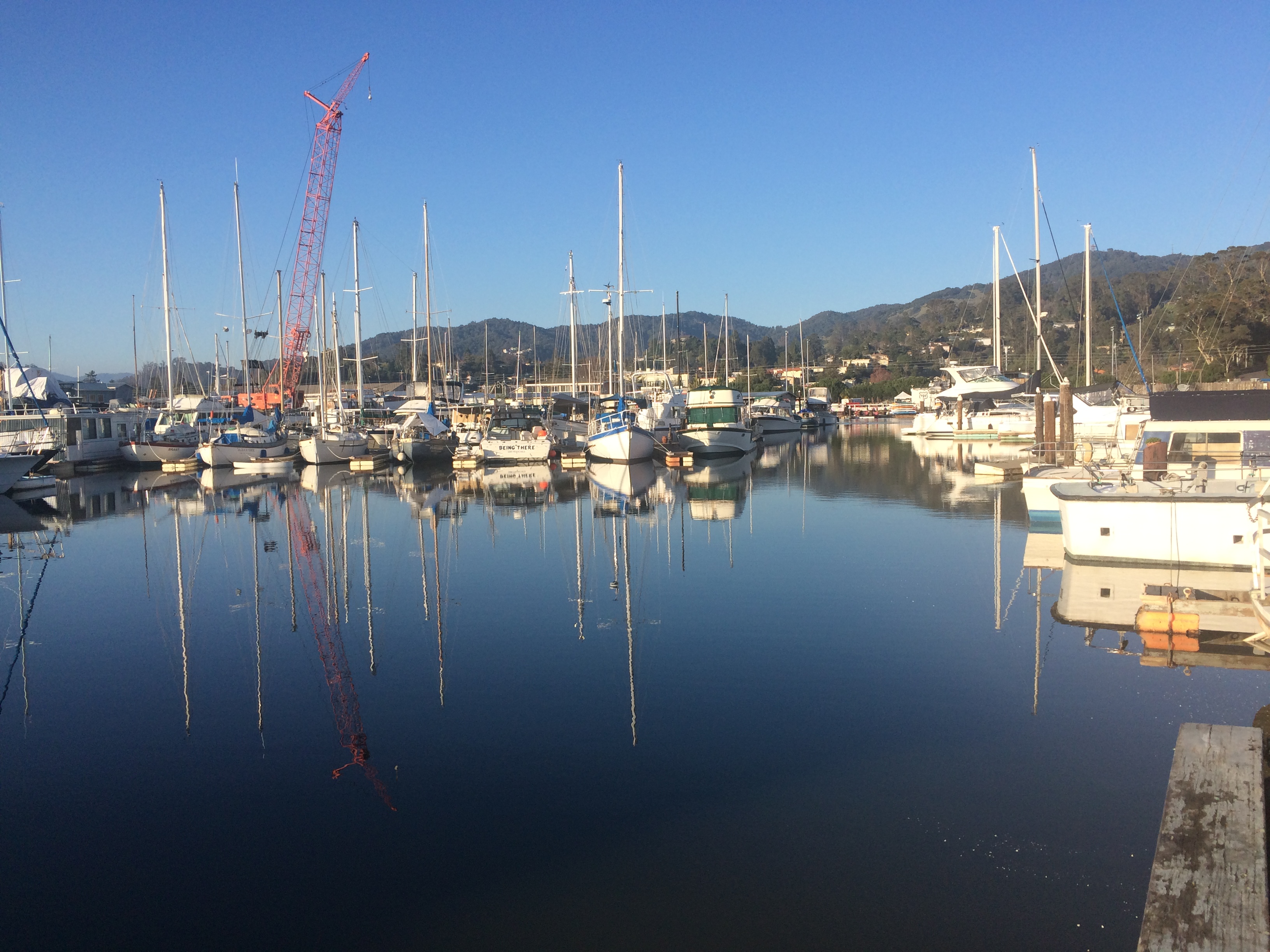Marina