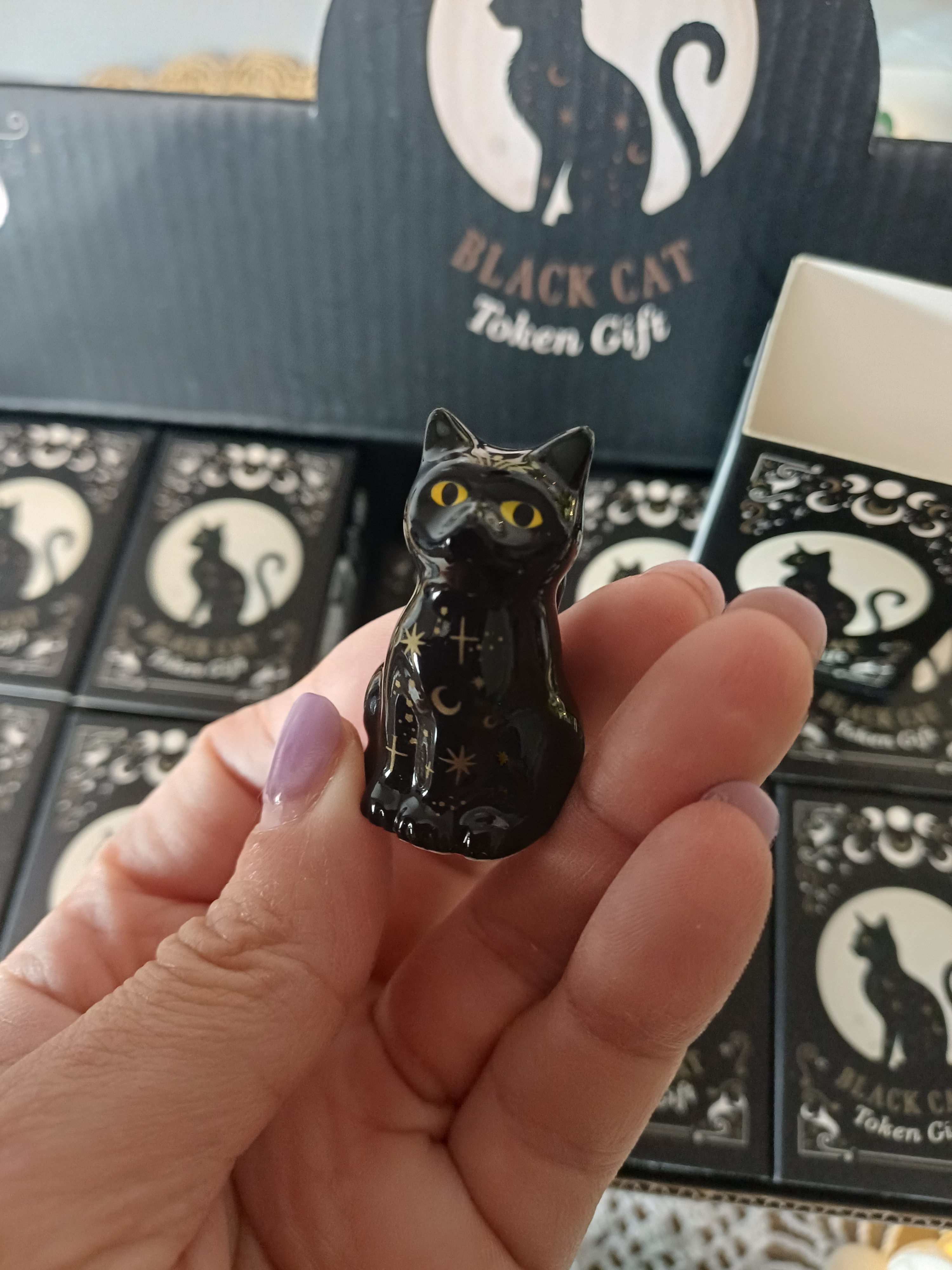 Chat Noir Porte-Bonheur