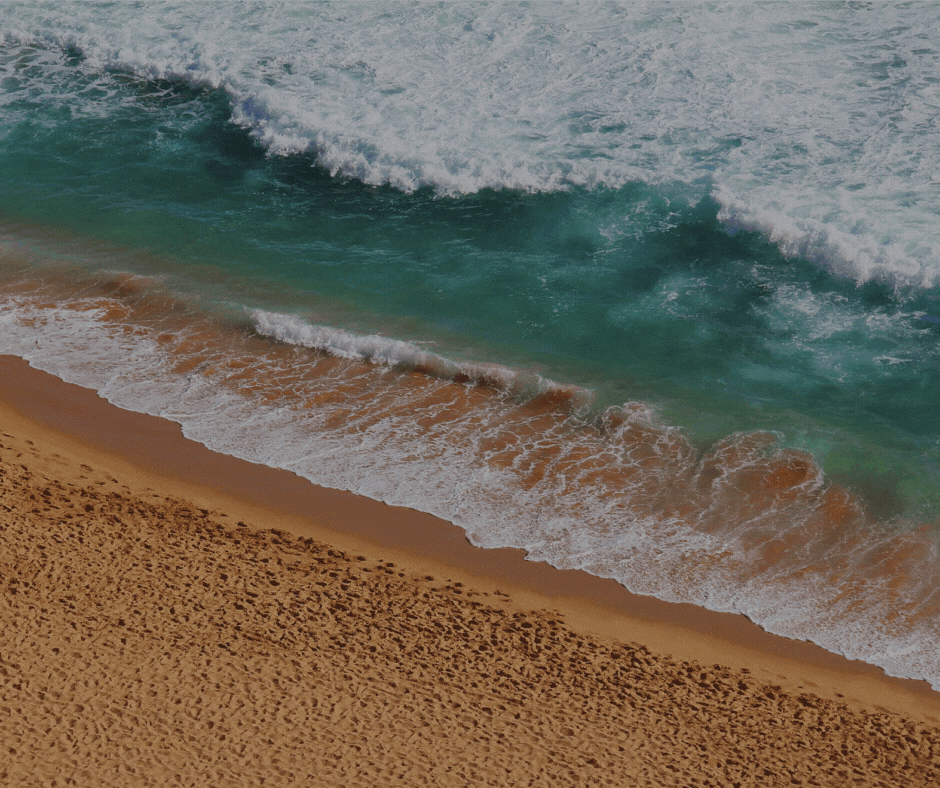 World Oceans Day.gif