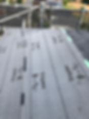 IMG_1668.jpeg