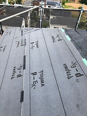 IMG_1668.jpeg