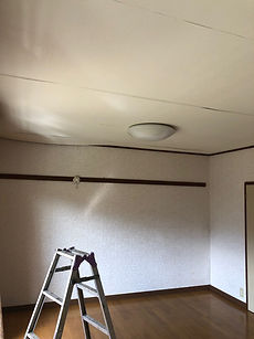 IMG_1472.jpeg